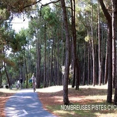 Allee Des Cerfs *
