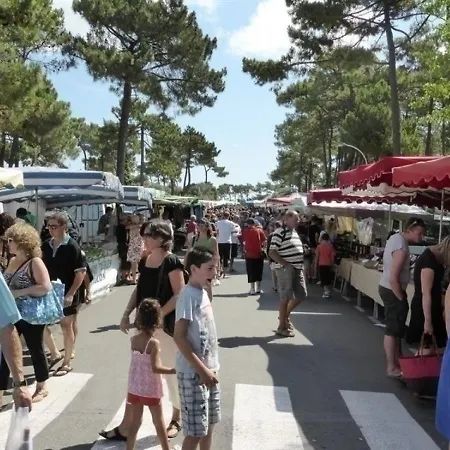 Allee Des Cerfs Villa Les Mathes